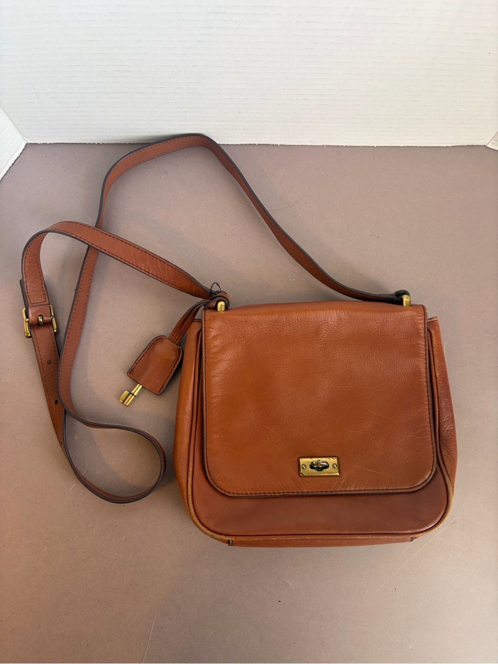 Vintage Fossil Leather Crossbody with Gold Hardware